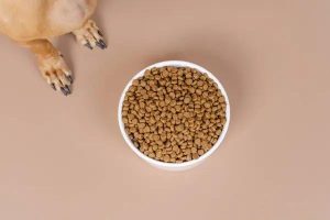 Understanding Sebaceous Cysts in Dogs and Natural Remedies